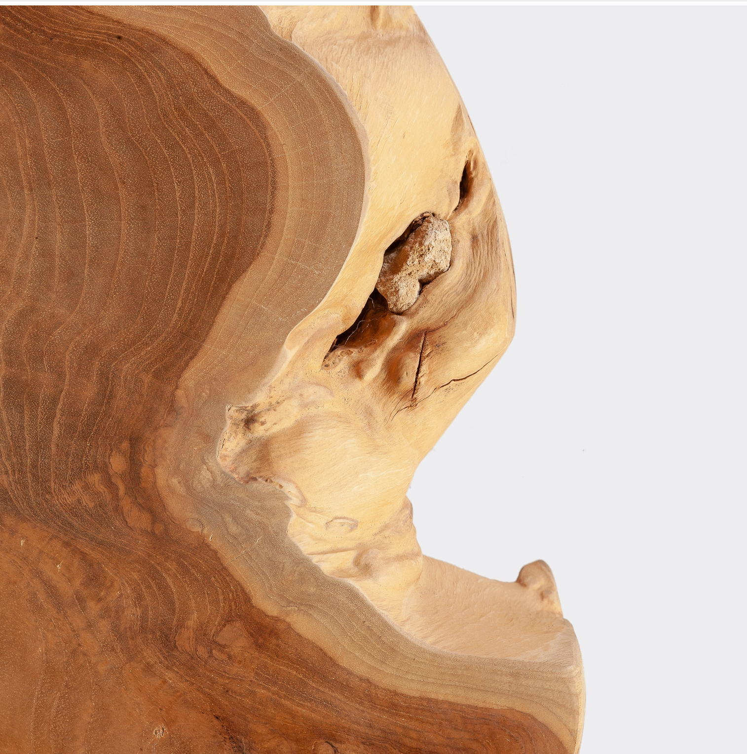 ROOTS COLLECTION (Table basse)