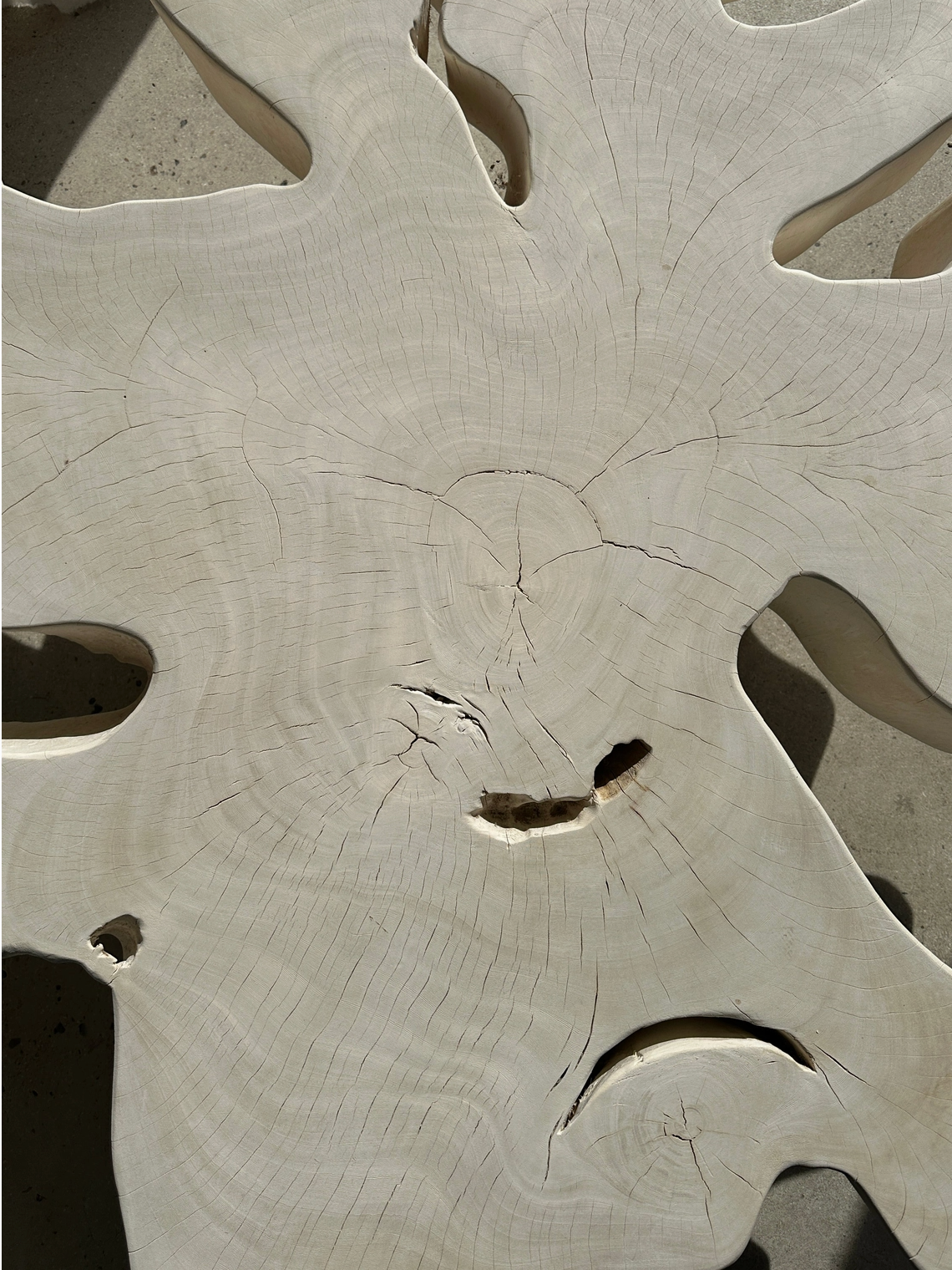 ROOTS COLLECTION (Table basse)