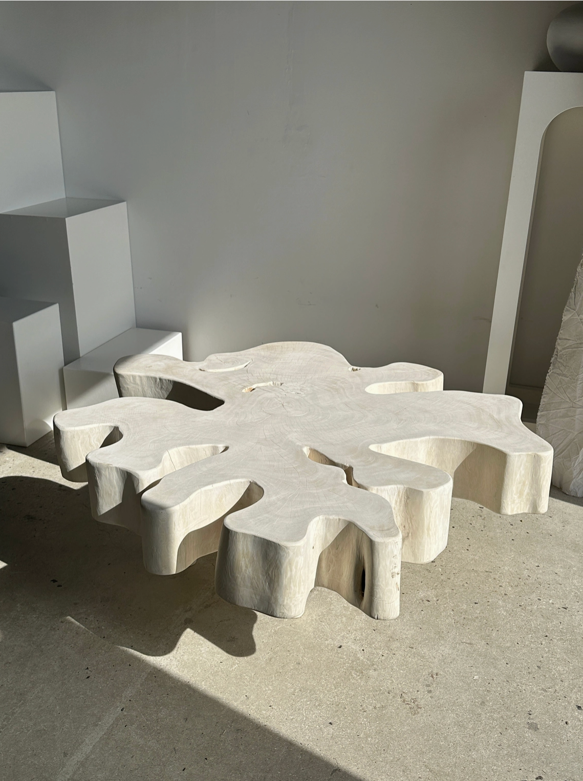 ROOTS COLLECTION (Table basse)