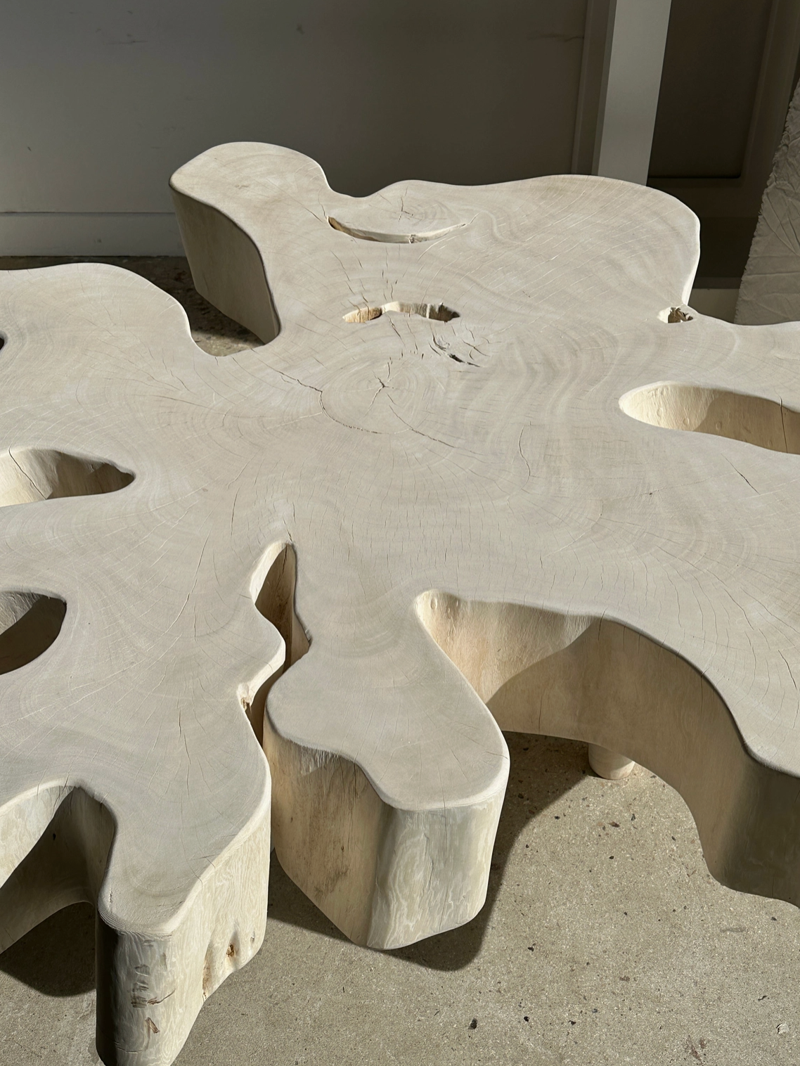 ROOTS COLLECTION (Table basse)